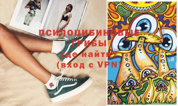 винт Карпинск