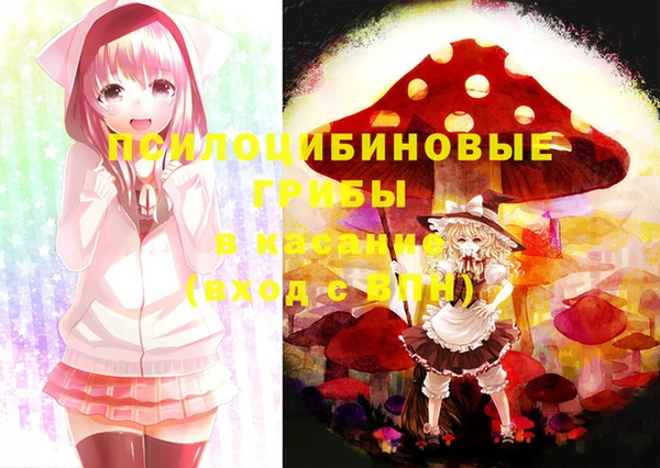 твердый Киренск
